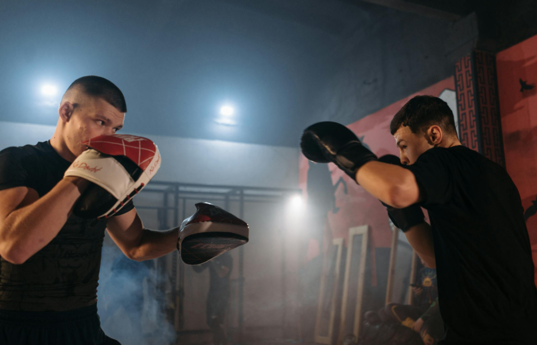 Boxer training with intensity